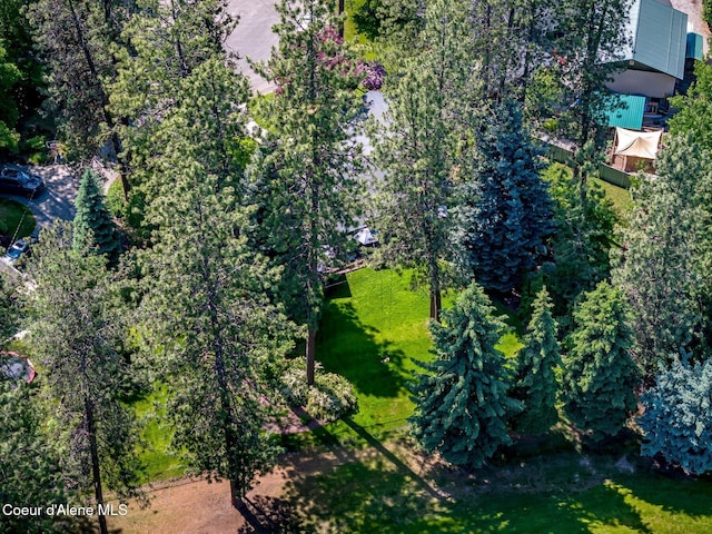 3593 W Fairway Dr, Coeur Dalene, ID 83815 - bird's eye view