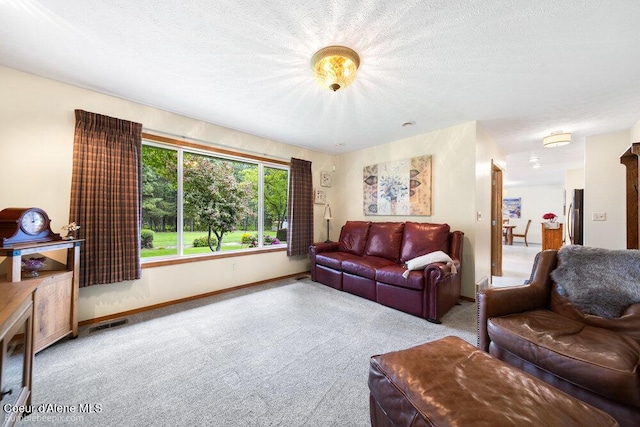 8416 N Haye Ln, Newman Lake, WA 99025 - carpeted living area featuring baseboards and a textured ceiling
