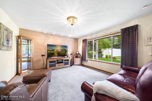 8416 N Haye Ln, Newman Lake, WA 99025 - carpeted living room with baseboards, rail lighting, and a textured ceiling