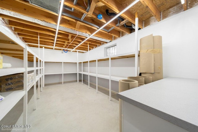 8416 N Haye Ln, Newman Lake, WA 99025 - view of storage room