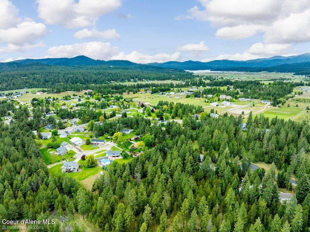 8416 N Haye Ln, Newman Lake, WA 99025 - drone / aerial view of mountains and a forest
