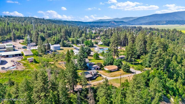 7083 Helena St, Bonners Ferry, ID 83805 - photo 40