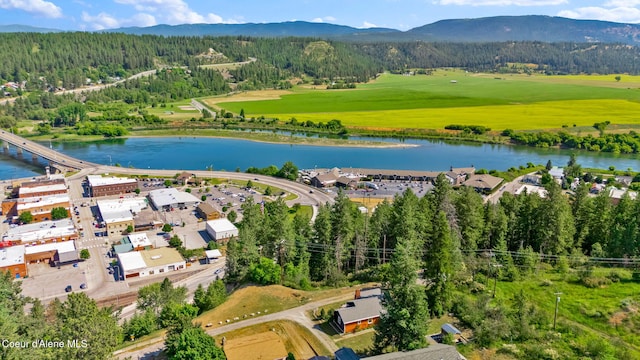 7083 Helena St, Bonners Ferry, ID 83805 - photo 41