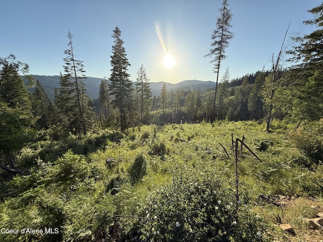 NKA E Doyle Rd, Rose Lake, ID 83810 - photo 4