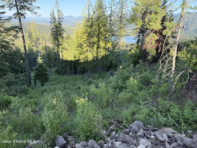 NKA E Doyle Rd, Rose Lake, ID 83810 - photo 3