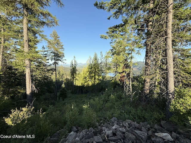 NKA E Doyle Rd, Rose Lake, ID 83810 - photo 7