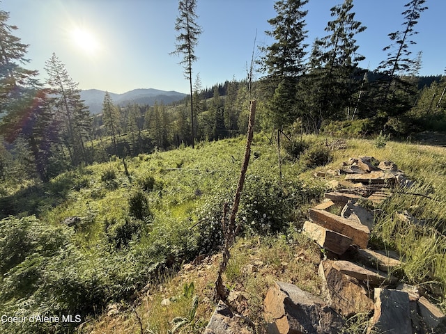 NKA E Doyle Rd, Rose Lake, ID 83810 - photo 8