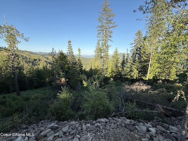 NKA E Doyle Rd, Rose Lake, ID 83810 - photo 9