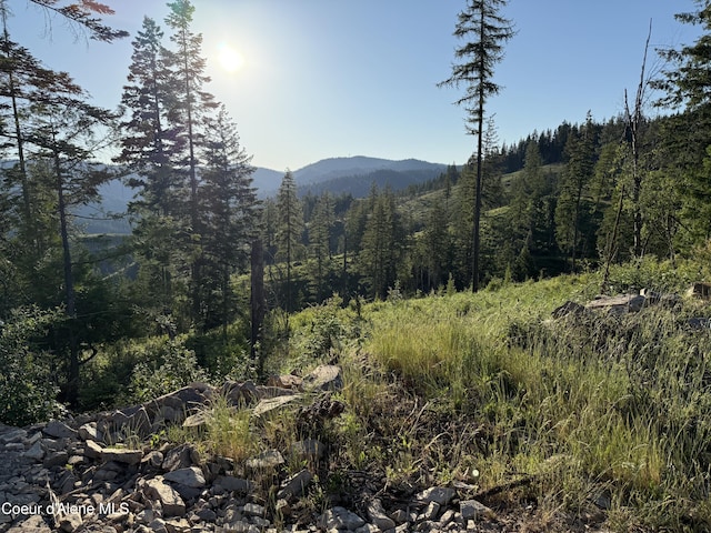 NKA E Doyle Rd, Rose Lake, ID 83810 - photo 10