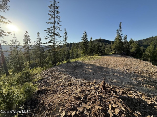 NKA E Doyle Rd, Rose Lake, ID 83810 - photo 5