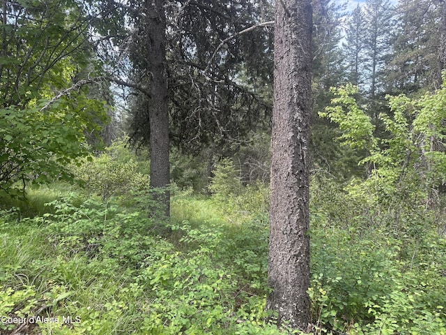 755 Twilight Ln, Sandpoint, ID 83864