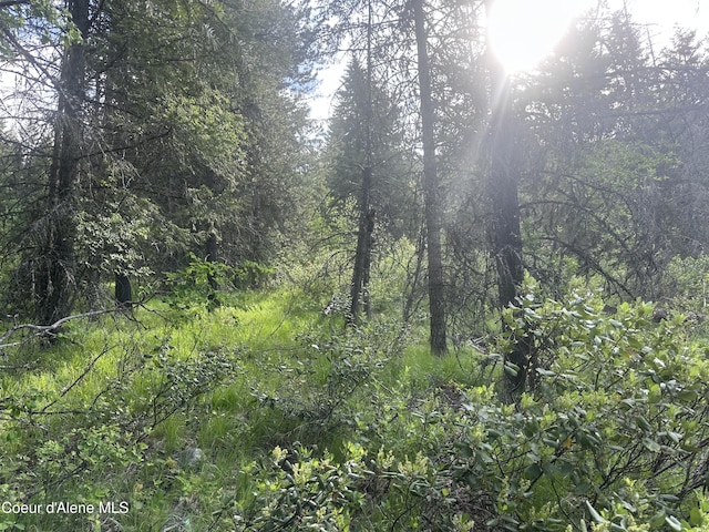 755 Twilight Ln, Sandpoint, ID 83864