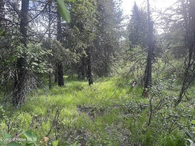 755 Twilight Ln, Sandpoint, ID 83864