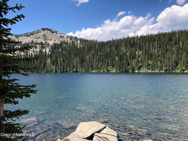 755 Twilight Ln, Sandpoint, ID 83864