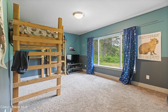 53 Koyokuk Trl, Spirit Lake, ID 83869 - bedroom with carpet and baseboards