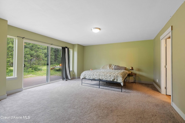 53 Koyokuk Trl, Spirit Lake, ID 83869 - carpeted bedroom with access to exterior and baseboards