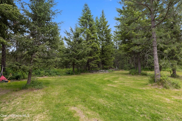 53 Koyokuk Trl, Spirit Lake, ID 83869 - view of green lawn with a forest view