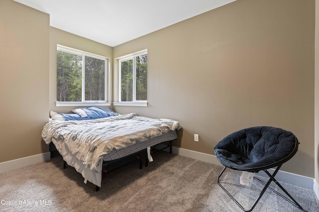 53 Koyokuk Trl, Spirit Lake, ID 83869 - bedroom featuring baseboards and carpet