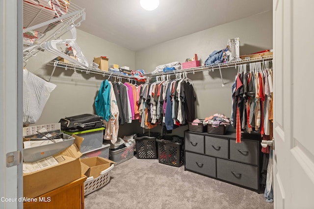 53 Koyokuk Trl, Spirit Lake, ID 83869 - spacious closet featuring carpet floors