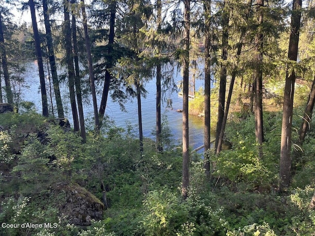 11019 W Crystal Bay Rd, Post Falls, ID 83854 - water view with a heavily wooded area