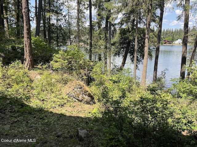 11019 W Crystal Bay Rd, Post Falls, ID 83854 - water view