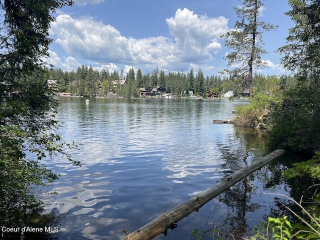 11019 W Crystal Bay Rd, Post Falls, ID 83854 - water view featuring a forest