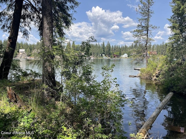 11019 W Crystal Bay Rd, Post Falls, ID 83854 - water view featuring a heavily wooded area