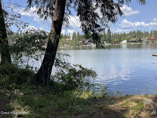 11019 W Crystal Bay Rd, Post Falls, ID 83854 - water view