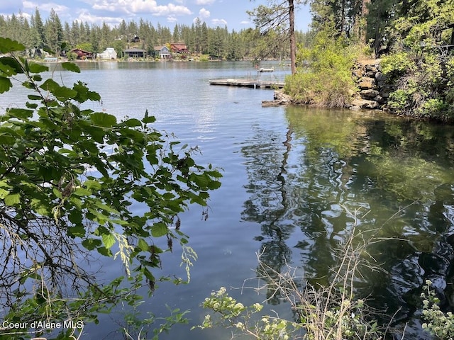 11019 W Crystal Bay Rd, Post Falls, ID 83854 - water view with a floating dock
