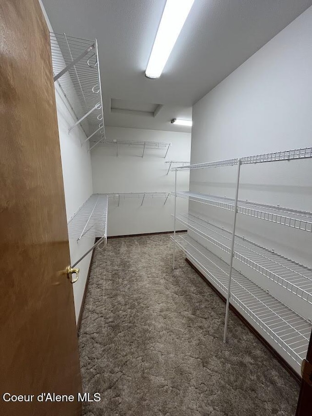 11019 W Crystal Bay Rd, Post Falls, ID 83854 - walk in closet with carpet flooring and attic access