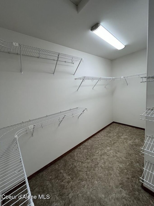 11019 W Crystal Bay Rd, Post Falls, ID 83854 - spacious closet with carpet