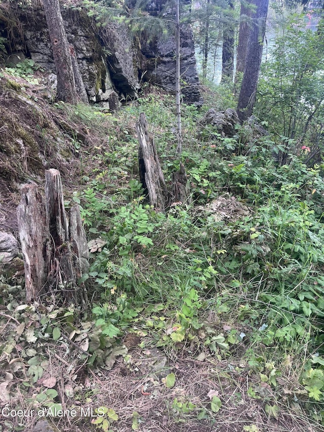 11019 W Crystal Bay Rd, Post Falls, ID 83854 - view of nature