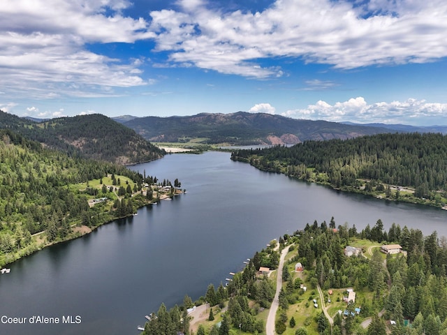 26370 S Hinds Dr, Saint Maries, ID 83861 - water view with a heavily wooded area and a mountain backdrop