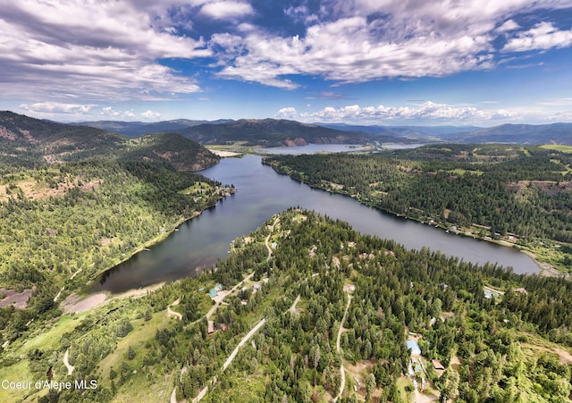 26370 S Hinds Dr, Saint Maries, ID 83861 - drone / aerial view of a water and mountain view and a forest