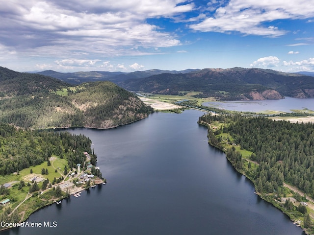 26370 S Hinds Dr, Saint Maries, ID 83861 - bird's eye view of a water and mountain view and a forest