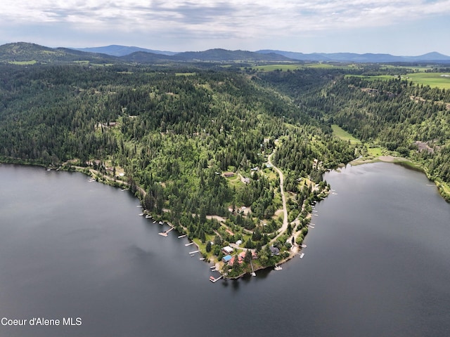 26370 S Hinds Dr, Saint Maries, ID 83861 - aerial view of a forest and a water and mountain view