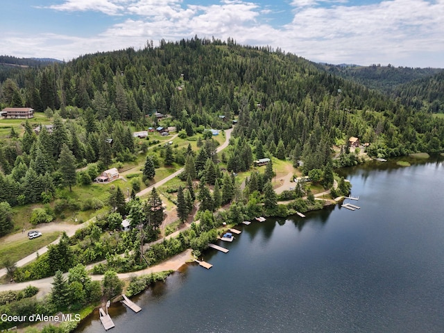 26370 S Hinds Dr, Saint Maries, ID 83861 - aerial view of property and surrounding area with a heavily wooded area and a large body of water