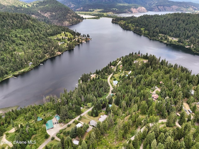26370 S Hinds Dr, Saint Maries, ID 83861 - aerial view of a forest and a water and mountain view