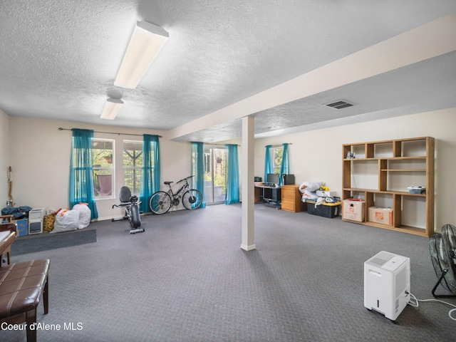 26370 S Hinds Dr, Saint Maries, ID 83861 - exercise room with a textured ceiling, carpet flooring, and baseboards