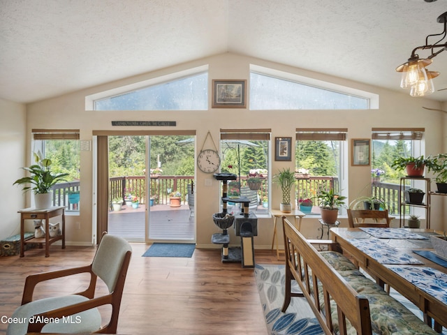 26370 S Hinds Dr, Saint Maries, ID 83861 - dining area with lofted ceiling, wood finished floors, a textured ceiling, plenty of natural light, and baseboards