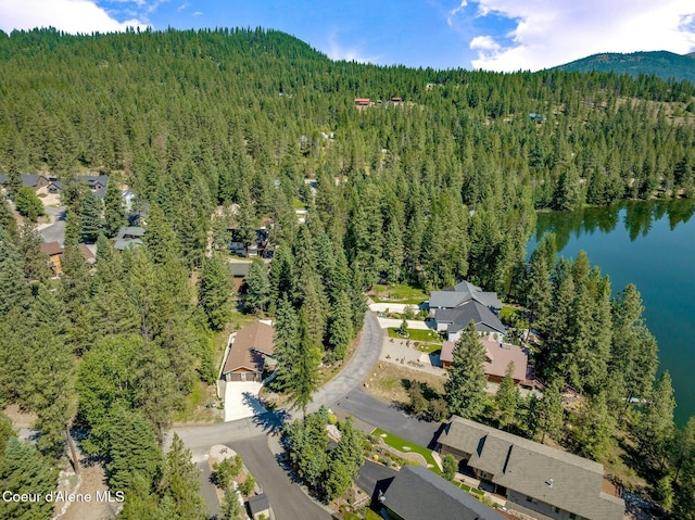 148 Stewart Dr, Blanchard, ID 83804 - photo 39
