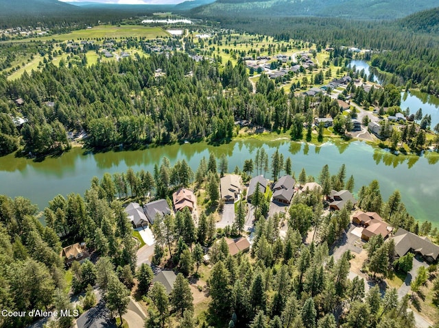 148 Stewart Dr, Blanchard, ID 83804 - photo 40
