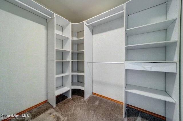 1555 W Benjamin Ave, Coeur Dalene, ID 83815 - spacious closet with carpet