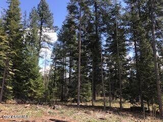2283 St Maries River Rd, Saint Maries, ID 83861