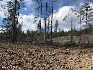 2283 St Maries River Rd, Saint Maries, ID 83861