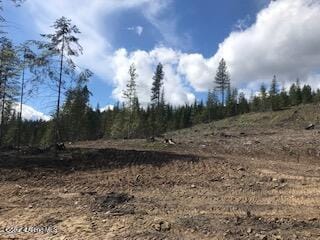 2283 St Maries River Rd, Saint Maries, ID 83861