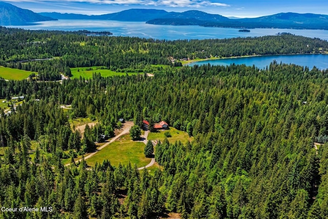 343 W Spring Creek Rd, Hope, ID 83836 - bird's eye view of a heavily wooded area and a water and mountain view
