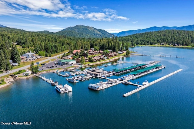 343 W Spring Creek Rd, Hope, ID 83836 - aerial view of a forest, a water and mountain view, and a marina