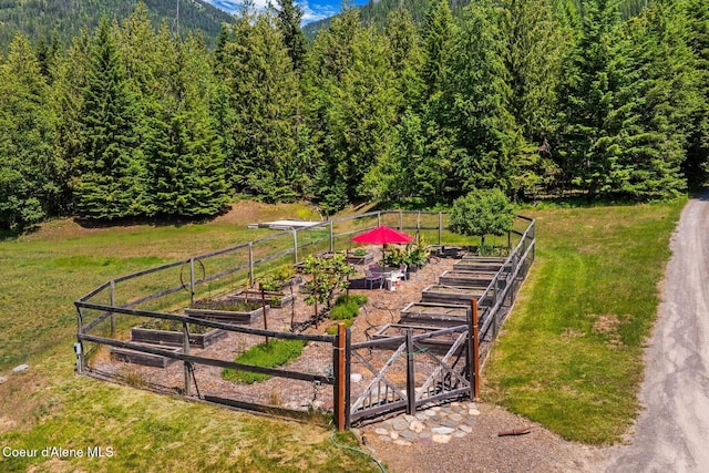343 W Spring Creek Rd, Hope, ID 83836 - view of yard with a garden and a forest view