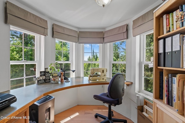 343 W Spring Creek Rd, Hope, ID 83836 - office area with light wood finished floors